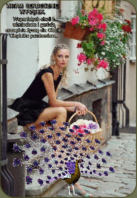 Paw z kolorowymi piórami pozdrawia w piątek